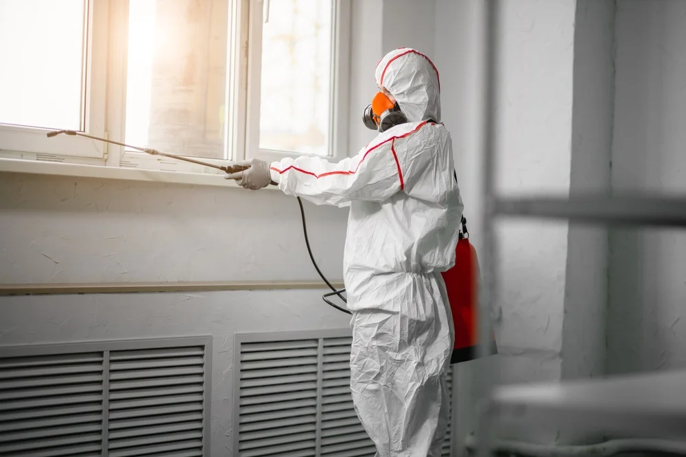 Professional mold remediation services in Thomaston, GA